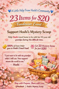 Hoshi's Fundraiser Mystery Box