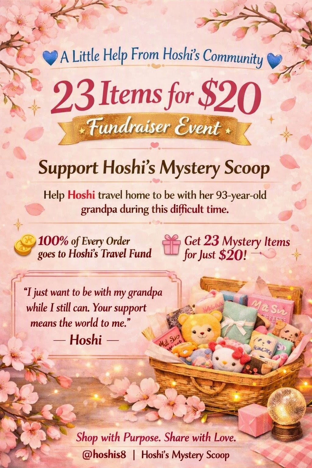 Hoshi's Fundraiser Mystery Box